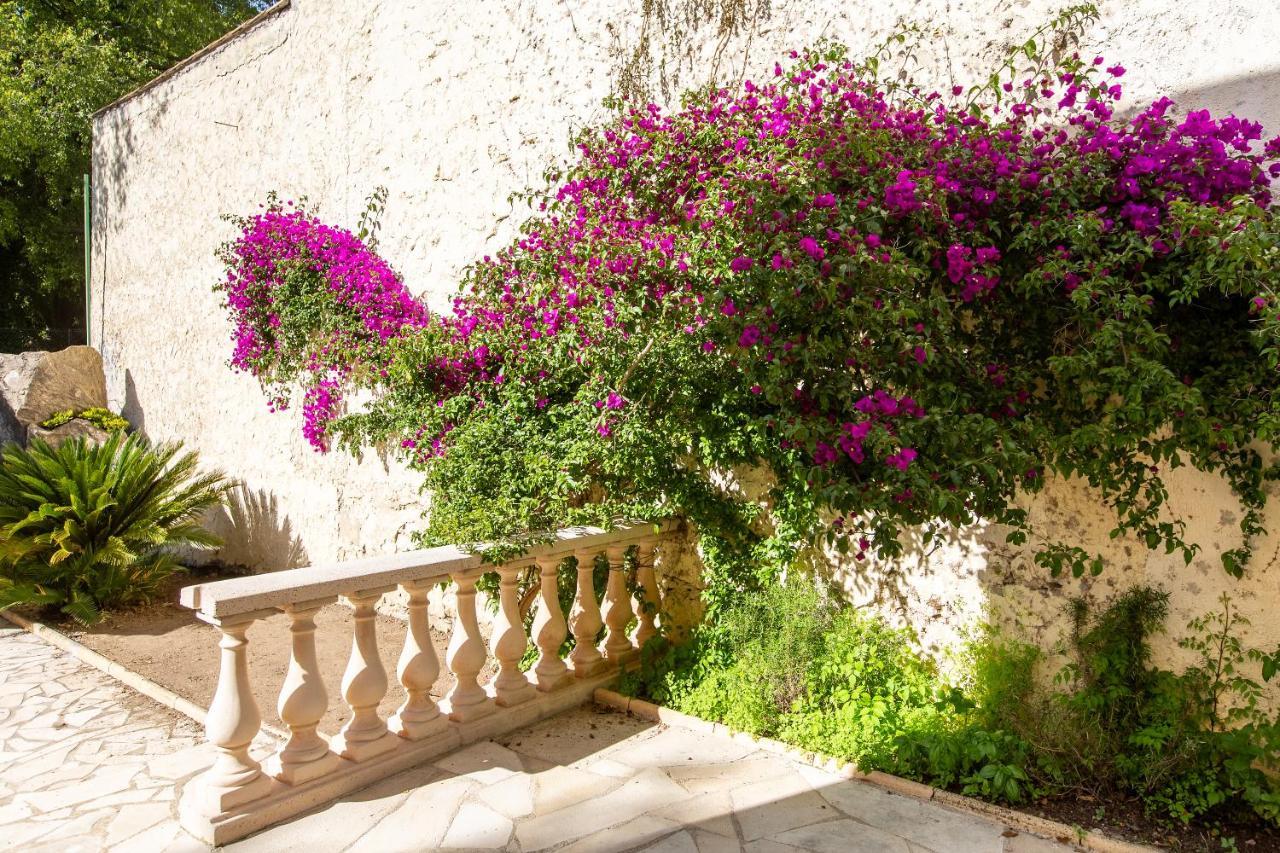 Villa Simone Cannes
